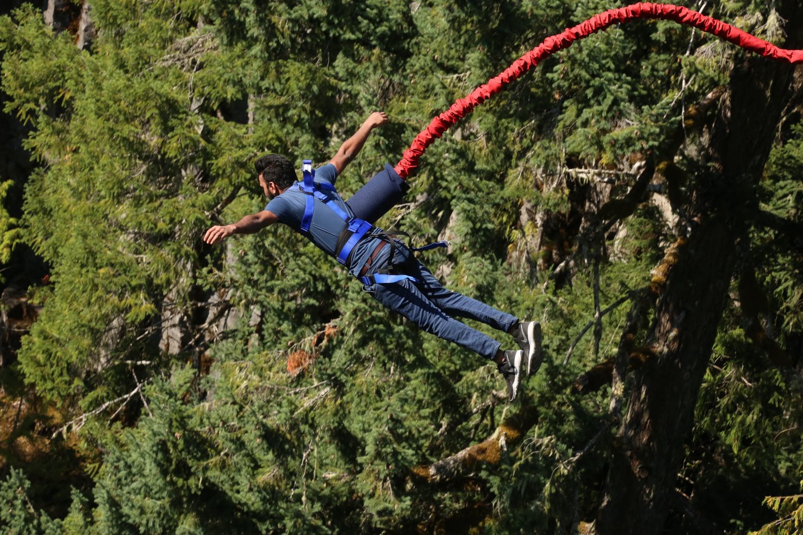 adrenaline en angst