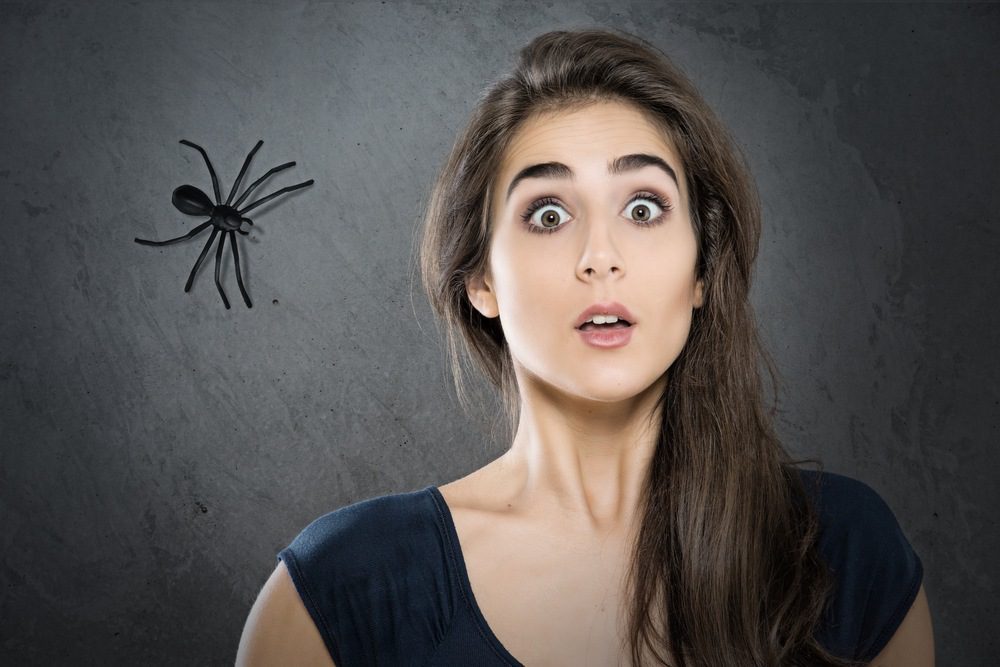 angst voor dieren of insecten